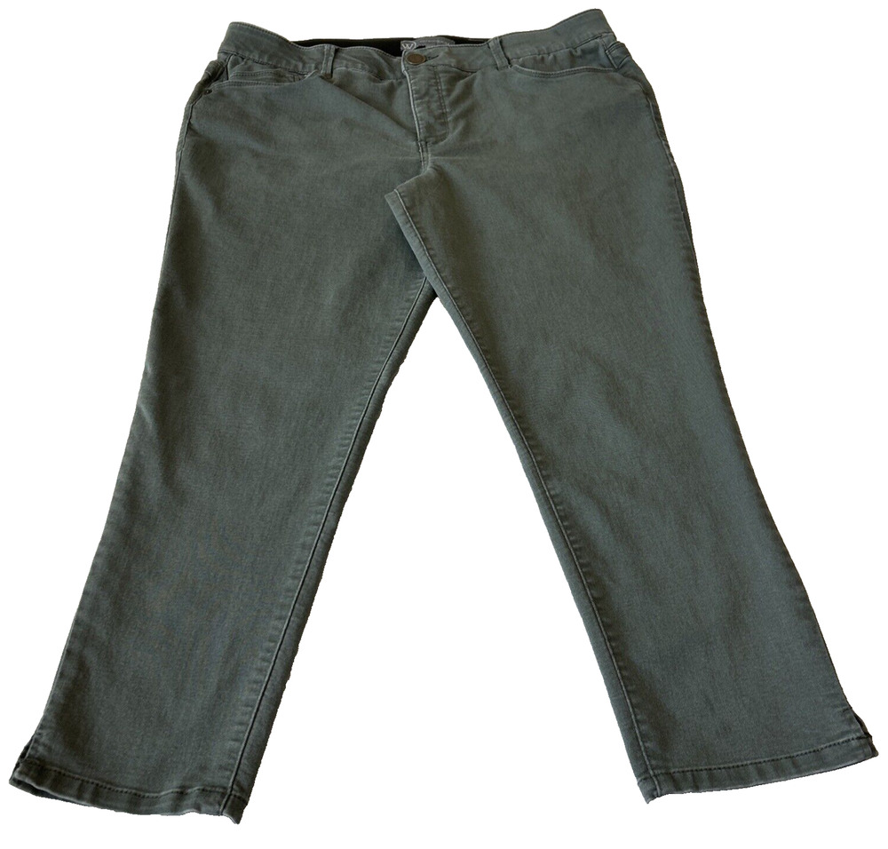 Wit & Wisdom Absolution Skinny Pants Size 16 Gray Elastic Waist